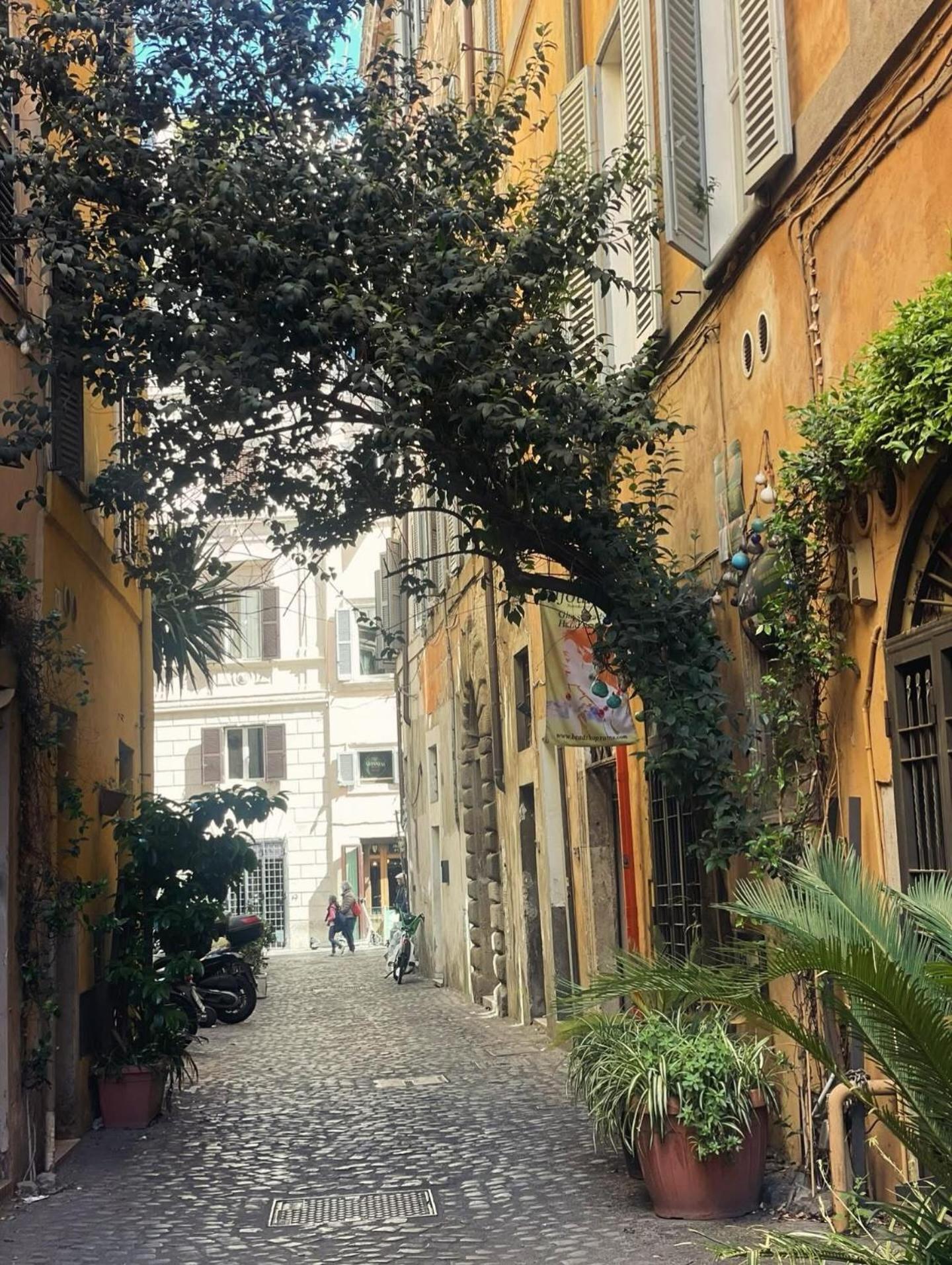 Bellaroma Navona Guest House — Foto 2